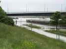 Treppelweg zwischen Floridsdorfer Brücke und Nordbahnbrücke (4. Juni)