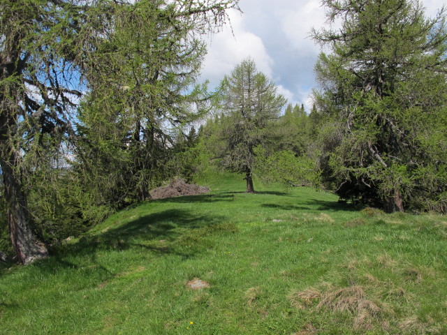 zwischen Graningh&uuml;tte und Rosenkofel (8. Juni)