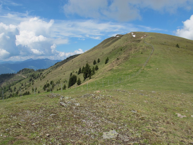 zwischen Rosenkofel und Lammersdorfer Berg (8. Juni)