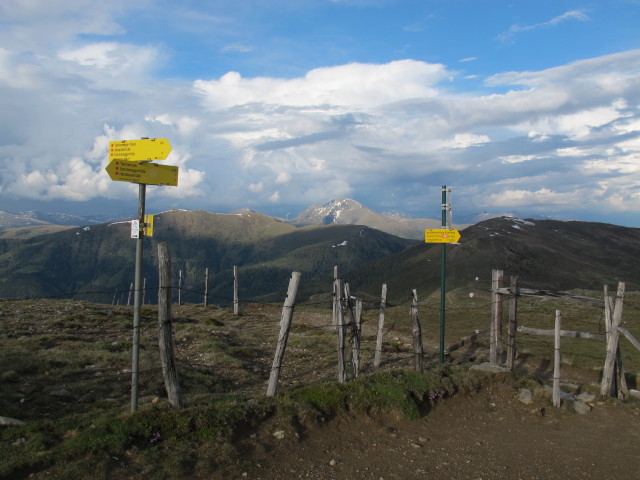 zwischen Törl und Hochpalfennock (8. Juni)