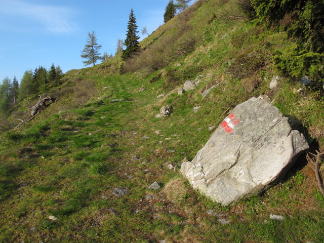 zwischen Thomannbauerh&uuml;tte und Rabenkofel (9. Juni)