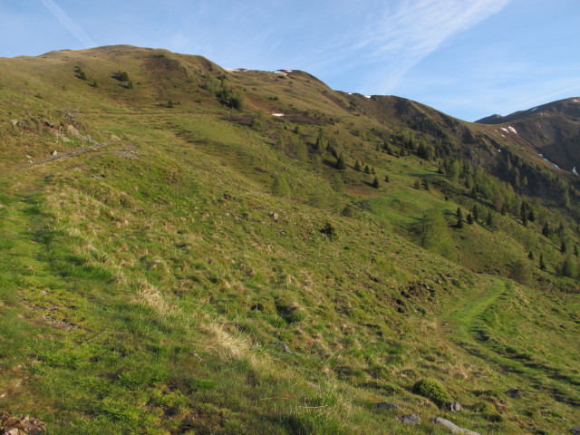 zwischen Thomannbauerh&uuml;tte und Rabenkofel (9. Juni)