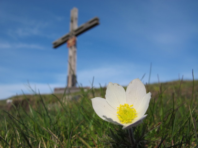 Rabenkofel, 2.059 m (9. Juni)