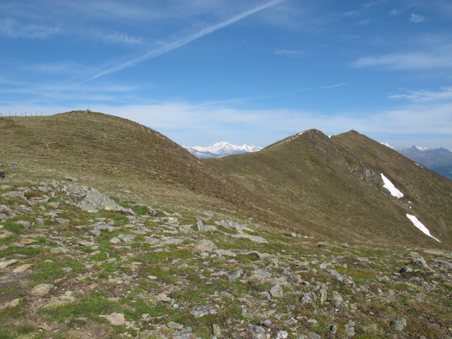 zwischen Stileck und Langnock (9. Juni)