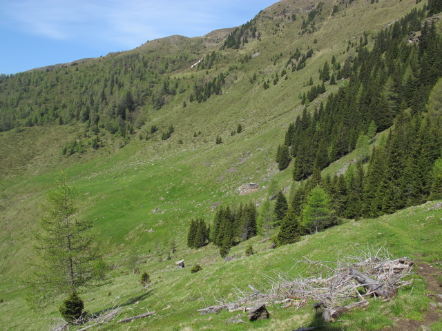 zwischen Langnock und Lamprechthütte (9. Juni)