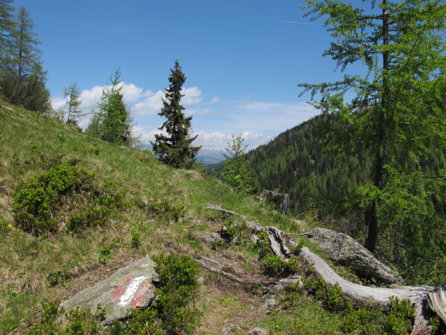 zwischen N&ouml;ringsattel und Brandlochh&uuml;tte (9. Juni)