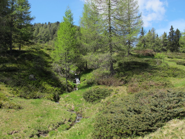 zwischen N&ouml;ringsattel und Brandlochh&uuml;tte (9. Juni)