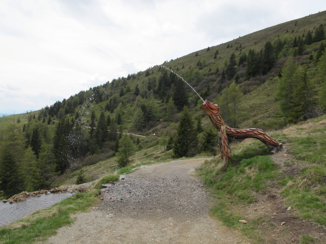 zwischen Millst&auml;tter H&uuml;tte und Tschierweger Nock (9. Juni)