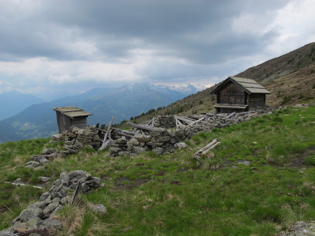 zwischen Tschierweger Nock und Gasthof Sommeregger Alm (9. Juni)