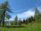 zwischen Graninghütte und Rosenkofel (8. Juni)