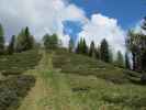 zwischen Graninghütte und Rosenkofel (8. Juni)