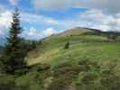 Lammersdorfer Berg vom Rosenkofel aus (8. Juni)