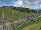 zwischen Rosenkofel und Lammersdorfer Berg (8. Juni)