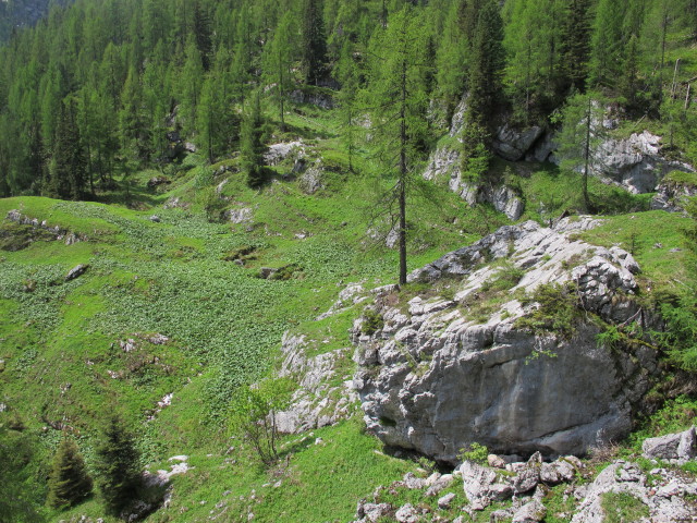 Vorderschlumalm, 1.482 m (15. Juni)