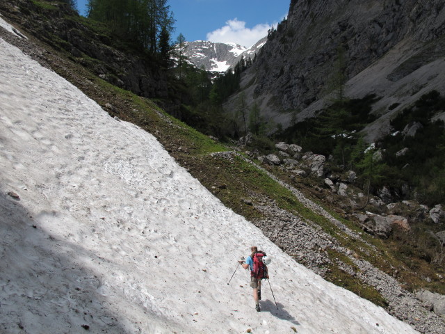 Christoph auf Weg 454 bei Gr&uuml;nleitn (15. Juni)