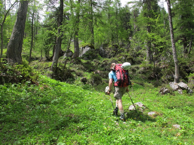 Christoph auf Weg 454 in der Hammel (15. Juni)