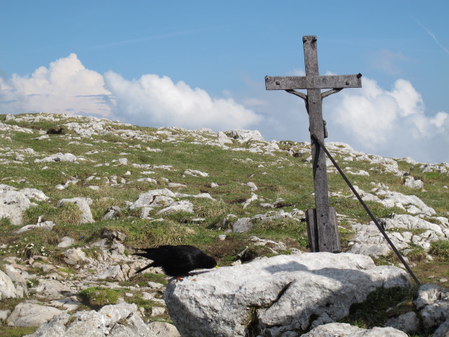 Schneibstein, 2.276 m (15. Juni)