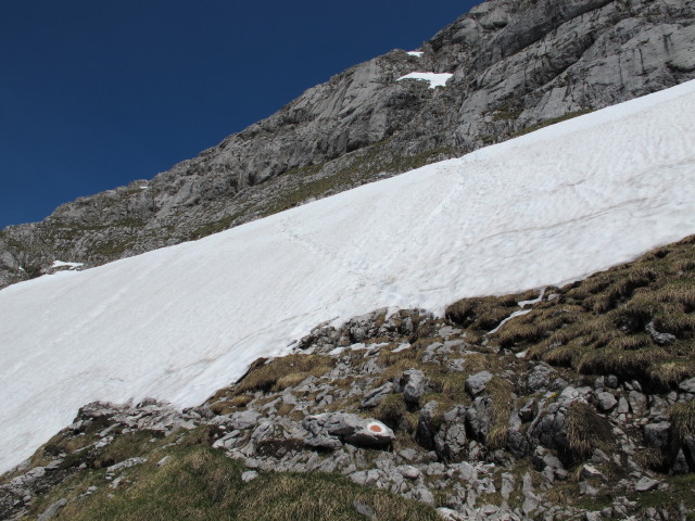 H&ouml;rndlbrett (16. Juni)