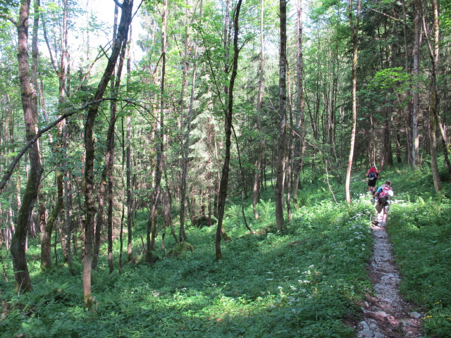 Gudrun und Christoph am Jochalmweg zwischen Unterer Jochalm und Jochberg (16. Juni)