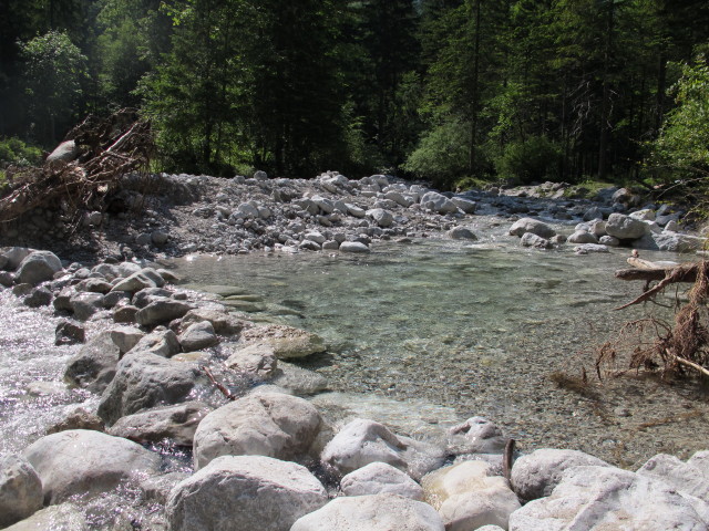 Fischbach (16. Juni)