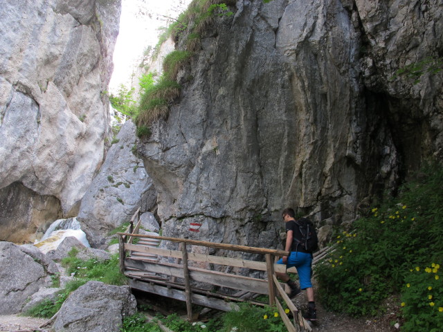 Elias in der Silberkarklamm (22. Juni)