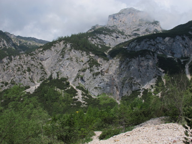 Silberkar (22. Juni)