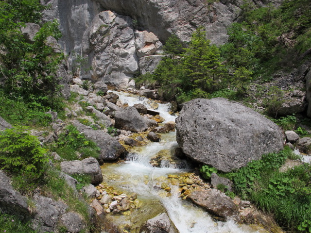 Silberkarklamm (22. Juni)