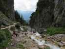 Silberkarklamm (22. Juni)