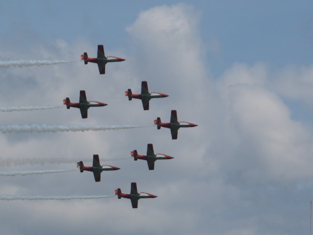 Patrulla &Aacute;guila