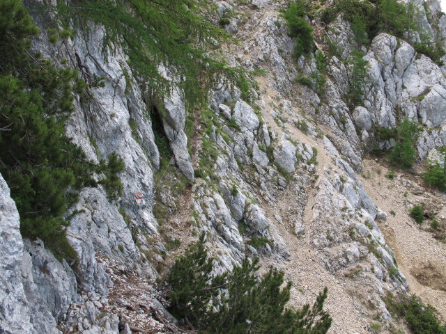 Walter Mory-Klettersteig: Notausstieg