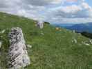 Feistritzer Spitze, 2.113 m