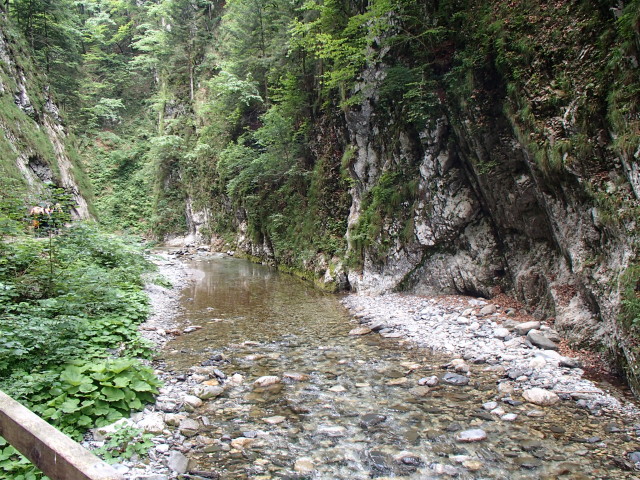 Valentinbach in der Mauthner Klamm