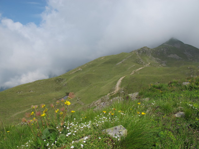 Neualplschneid (13. Juli)