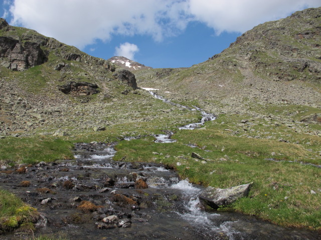 neben Weg 913 zwischen Alkuser See und Mirschachscharte (13. Juli)