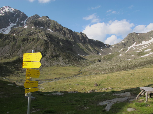 bei der Hochschoberhütte, 2.322 m (13. Juli)