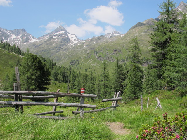 Lienzer Höhenweg zwischen Lienzer Hütte und Schulterbach (14. Juli)