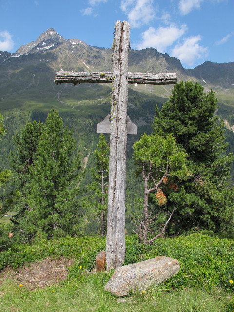 neben dem Lienzer Höhenweg zwischen Schulterbach und Trelebitschalm (14. Juli)