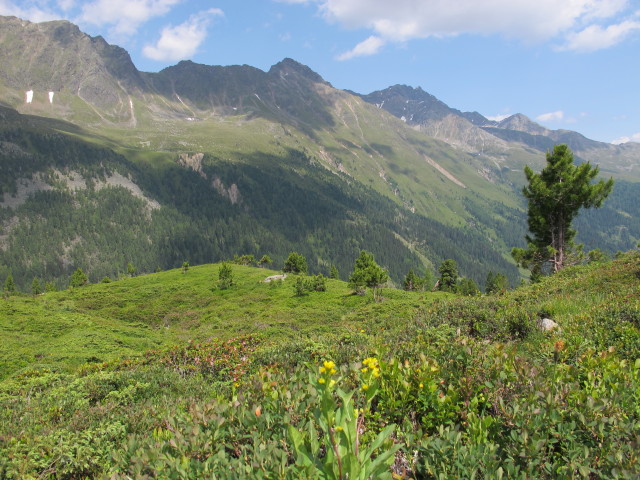 neben dem Lienzer Höhenweg zwischen Schulterbach und Trelebitschalm (14. Juli)