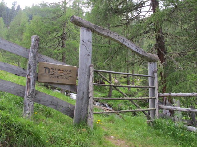 zwischen Trelebitschalm und Seichenbrunn (14. Juli)