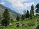 Lienzer Höhenweg zwischen Lienzer Hütte und Schulterbach (14. Juli)