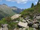 Lienzer Höhenweg zwischen Schulterbach und Trelebitschalm (14. Juli)