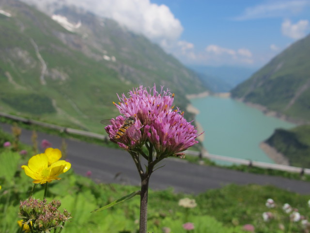 Stausee Wasserfallboden (20. Juli)