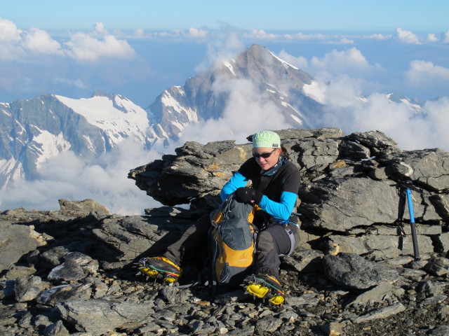 Irene zwischen Wielingerscharte und Großem Wiesbachhorn (21. Juli)