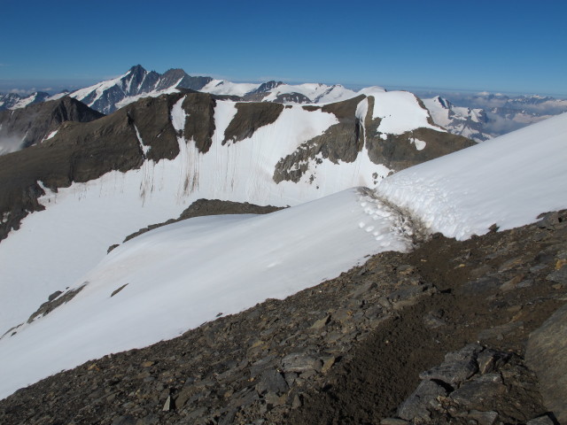 zwischen Wielingerscharte und Großem Wiesbachhorn (21. Juli)