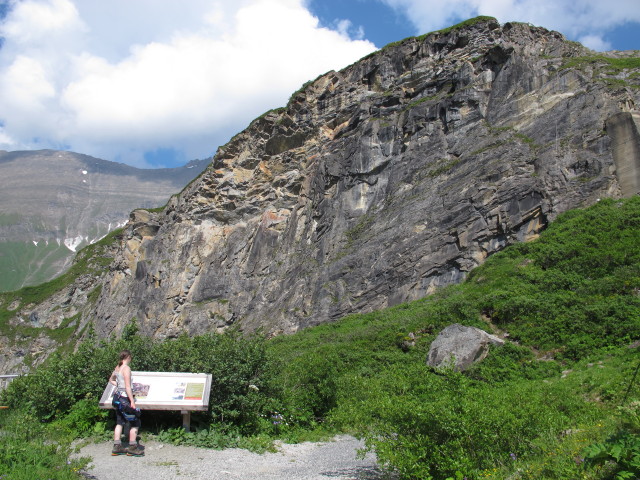 Irene bei der Klettersteigarena Höhenburg (21. Juli)