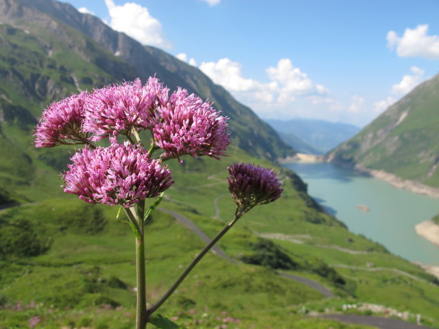 Stausee Wasserfallboden (21. Juli)