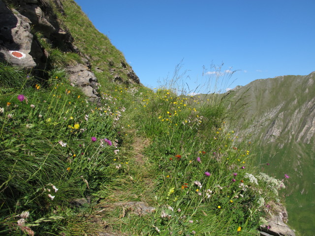 Gleiwitzer Höhenweg zwischen Ochsenkar und Gleiwitzer Hütte (22. Juli)