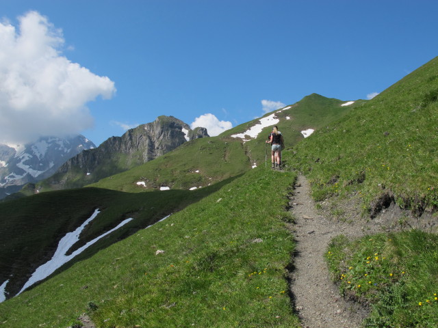 zwischen Imbachhorn und Rosskopf (23. Juli)