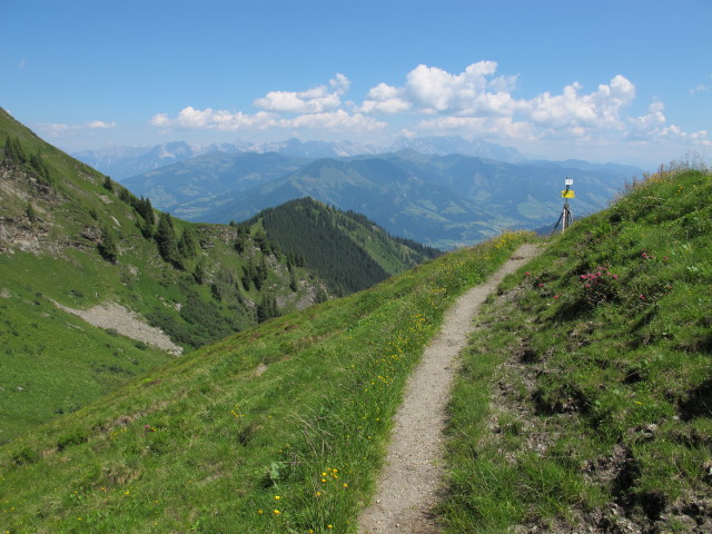 zwischen Rosskopf und Piffscharte (23. Juli)