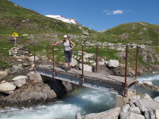 Irene auf Weg 122 beim Scheidbach (27. Juli)